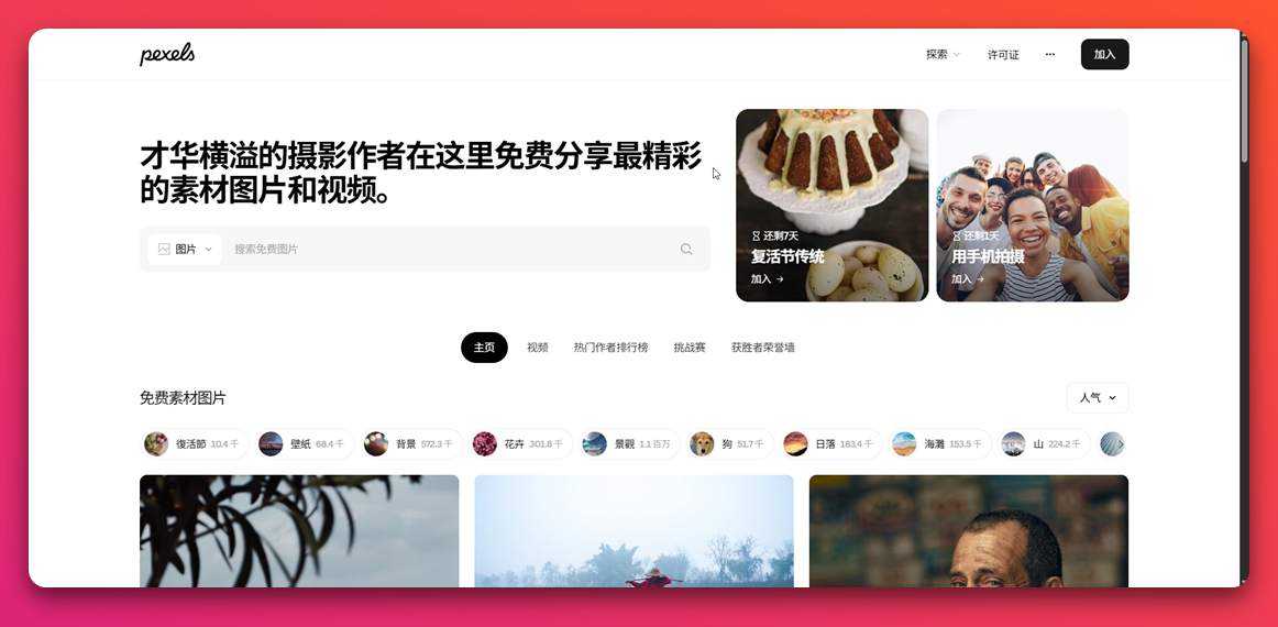 pexels免费素材图片与视频分享平台